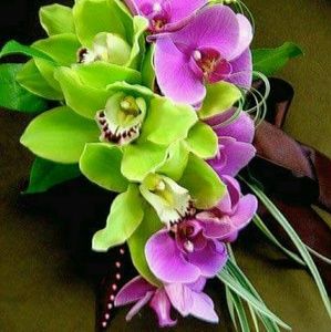 Meet your Posher, Linda